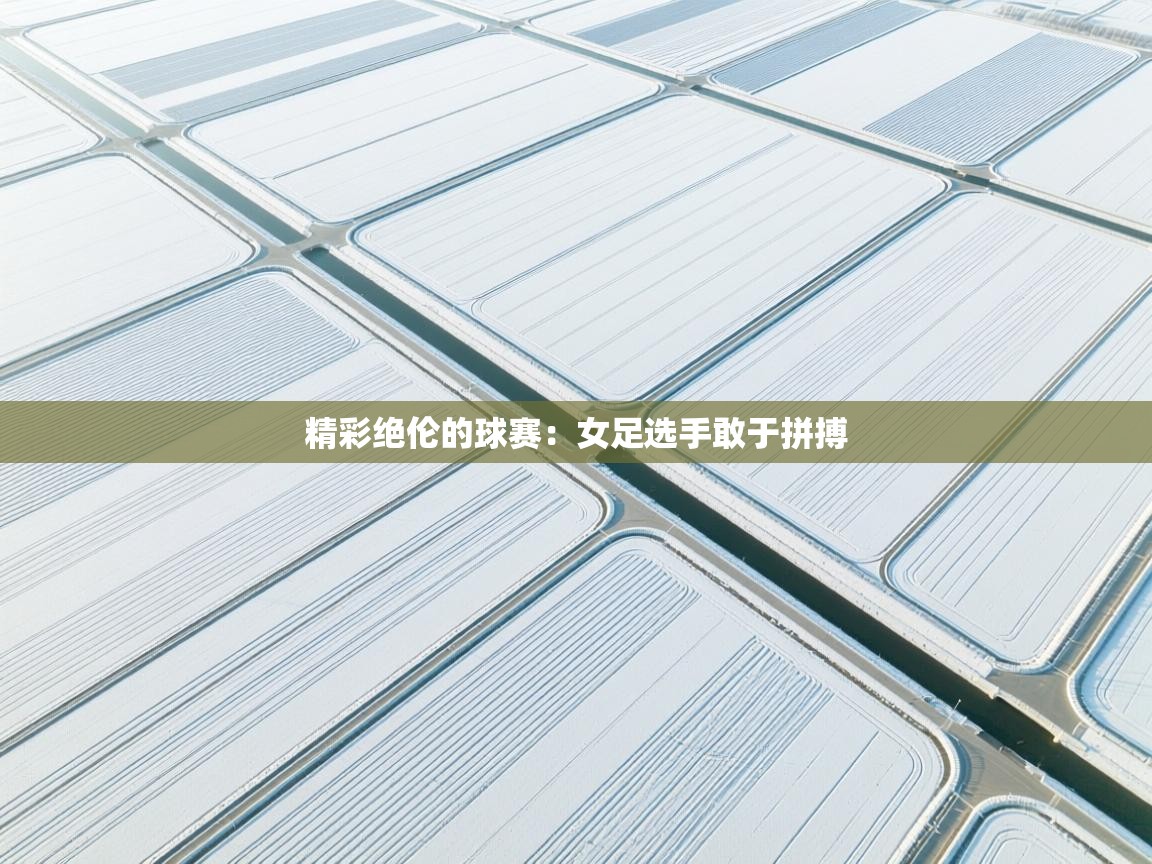 精彩绝伦的球赛：女足选手敢于拼搏