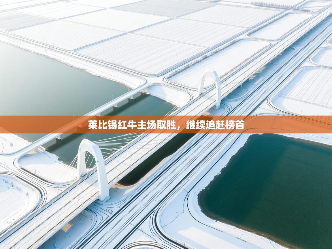 莱比锡红牛主场取胜，继续追赶榜首  第2张