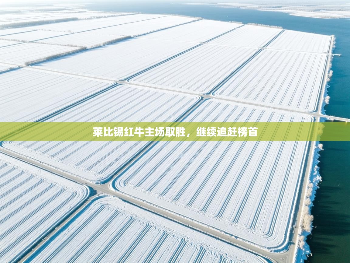 莱比锡红牛主场取胜，继续追赶榜首  第1张