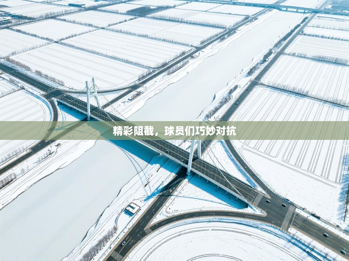 精彩阻截，球员们巧妙对抗